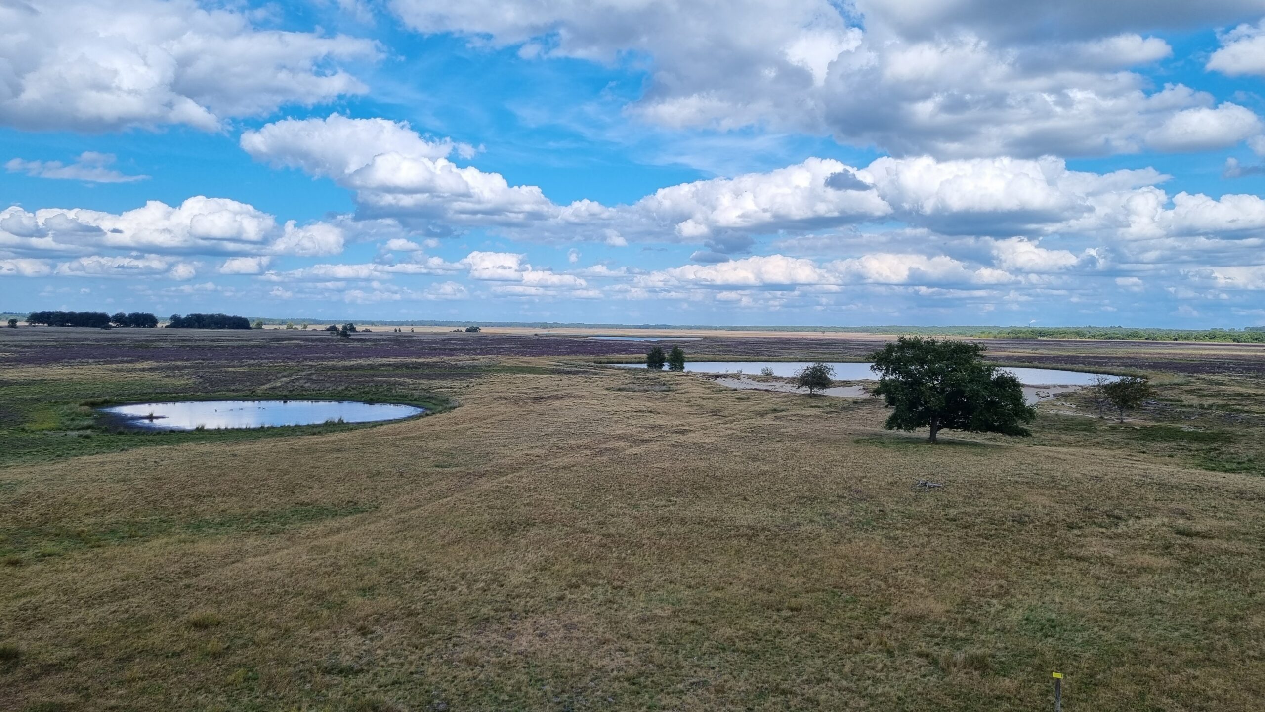 Uitzicht over de Benderse Plassen vanuit de uitkijktoren