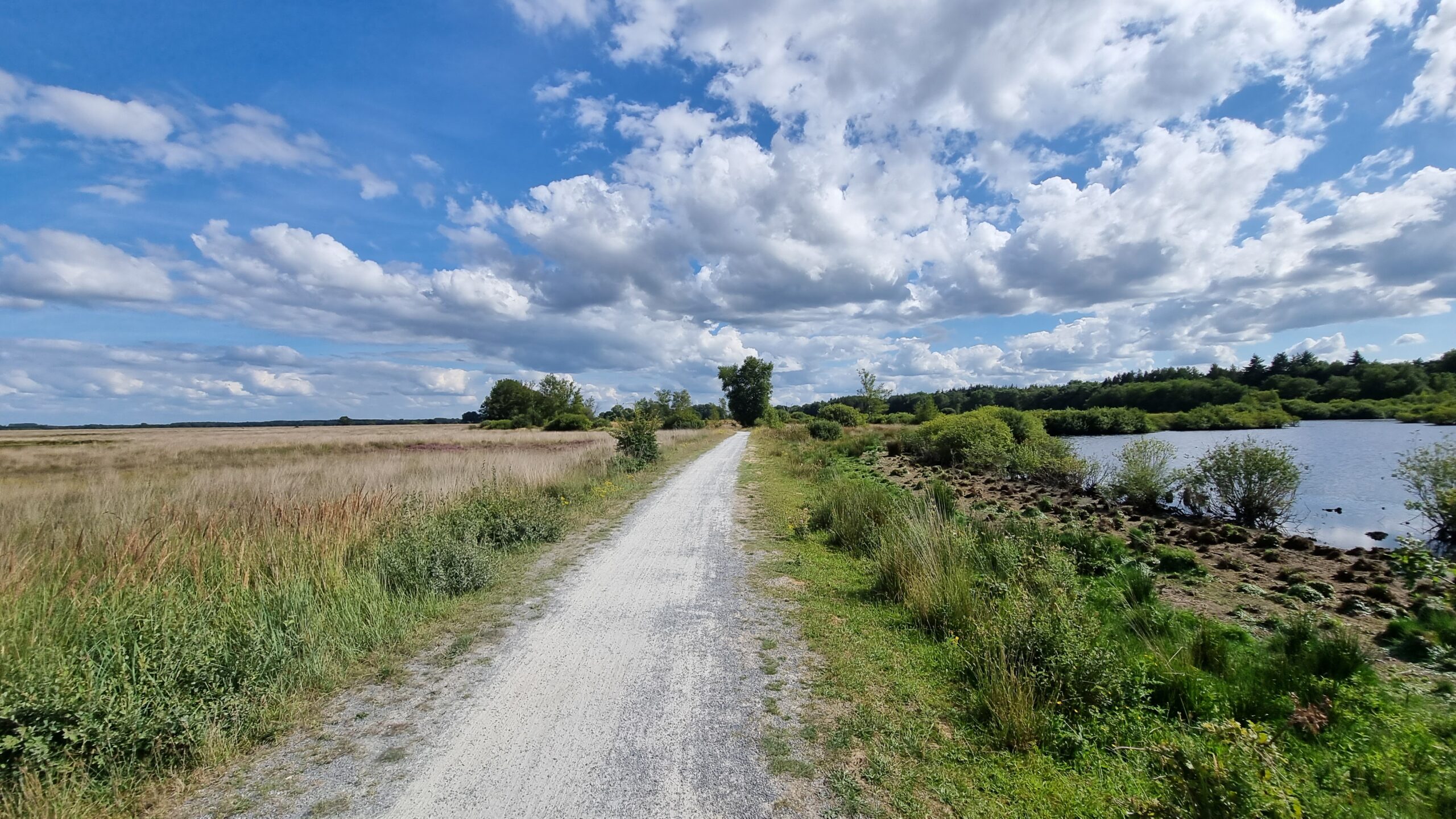 Ven naast fietspad