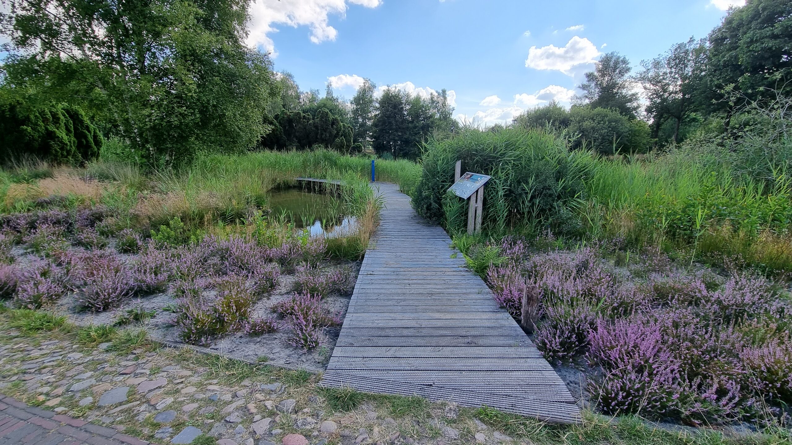 Vlonderpad bij bezoekerscentrum