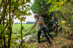 Nationale Natuurwerkdag