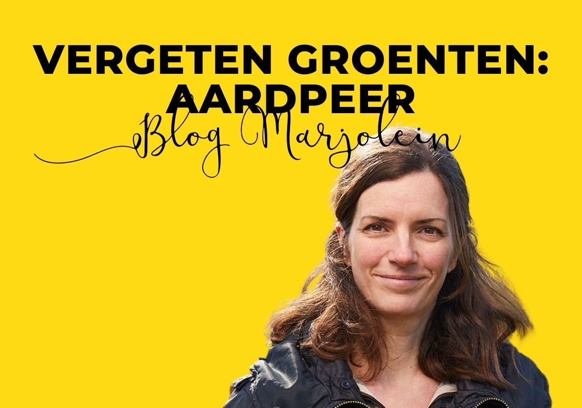 Blog Marjolein Aardpeer