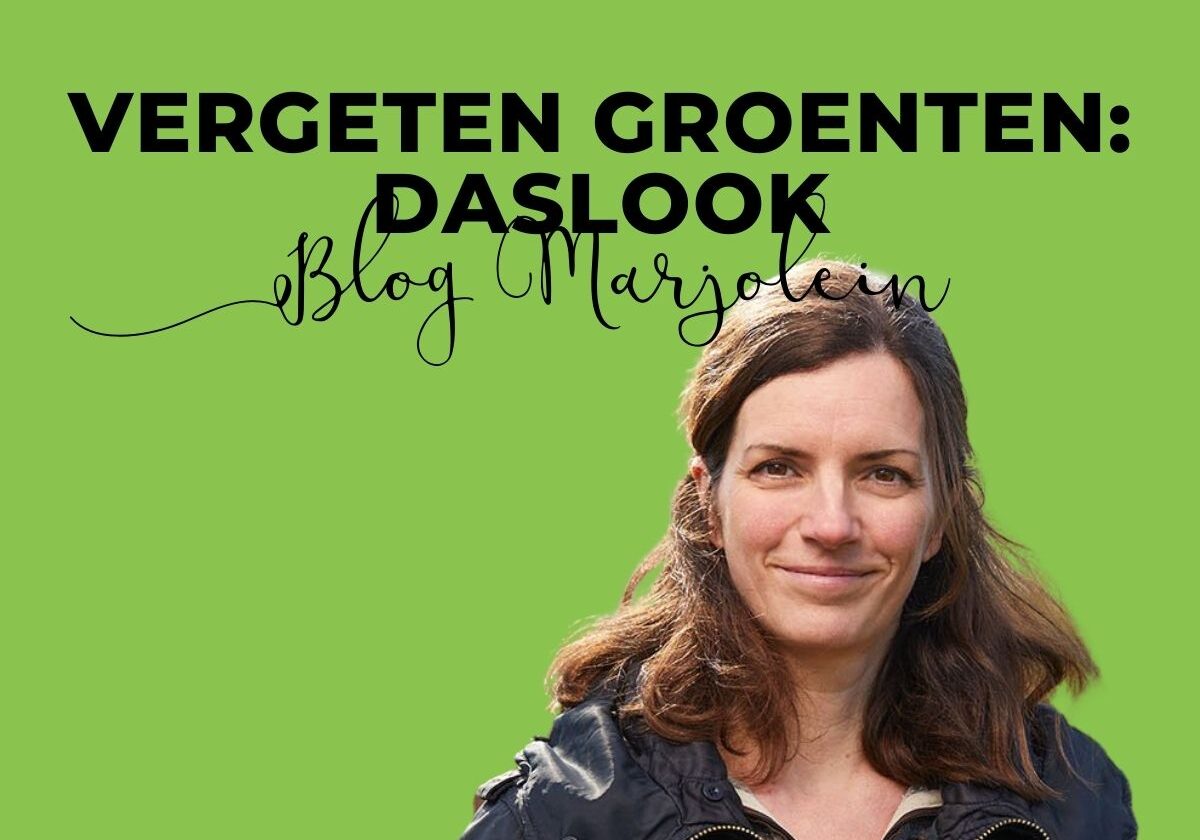 Blog Marjolein Daslook