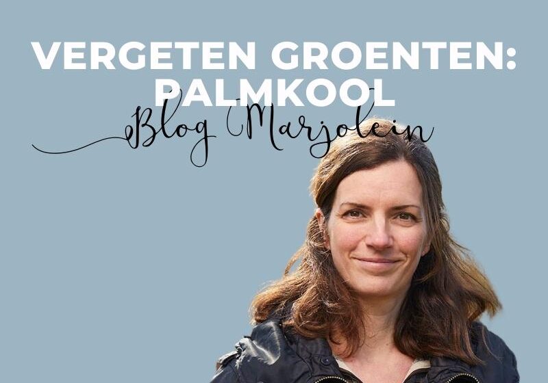 Blog Marjolein Palmkool