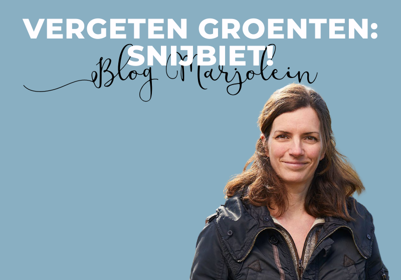 Vergeten groenten deel 1: Snijbiet!