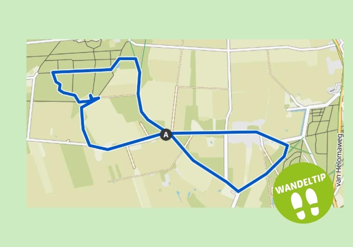 Eursinge Wandeltip van Jolanda