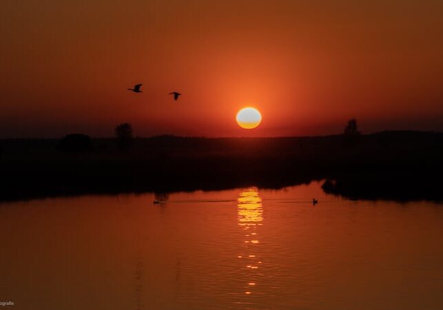 Mooiste Plekje Dwingelderveld Kraloo Sander Huizinga