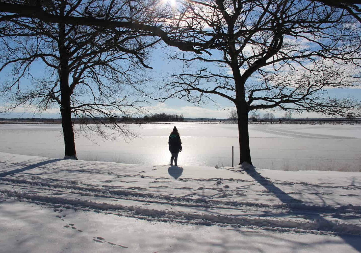 Mooiste Plekje winternatuur Alanda de Boer