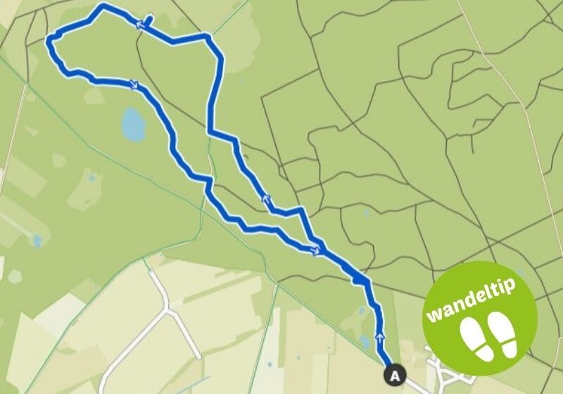 Onderduikershol en wapserveld wandelroute