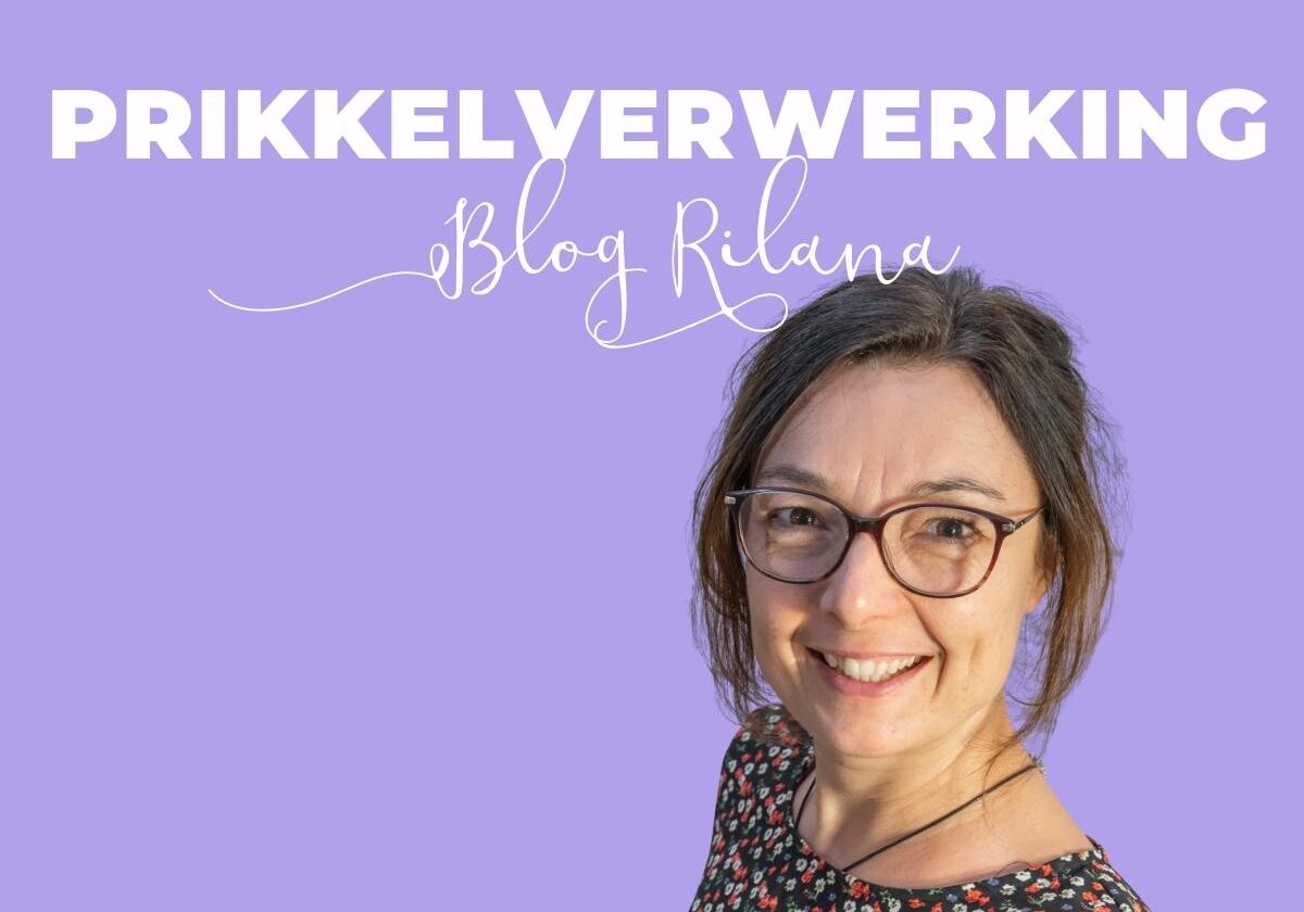  Prikkelverwerking  Blog Rilana