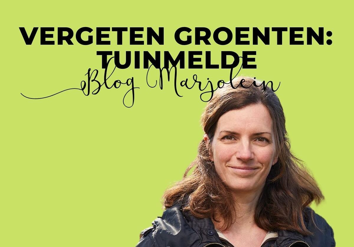 Vergeten groente tuinmelde