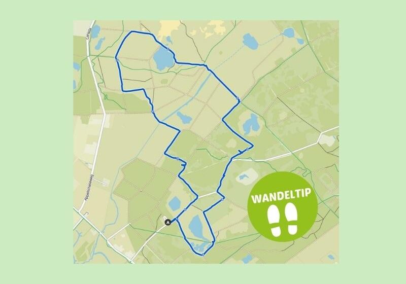 Wandeltip van Jolanda Ganzenpoel