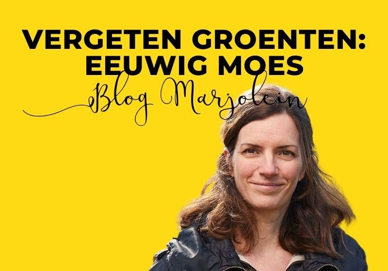 eeuwig moes